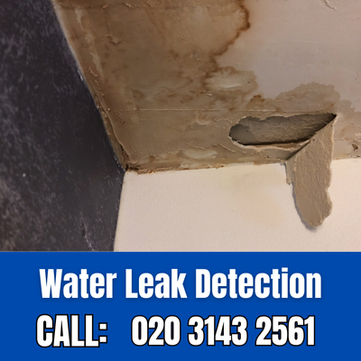 Expert Water Leak Detection Services in Notting Hill | Notting Hill Leak Detection